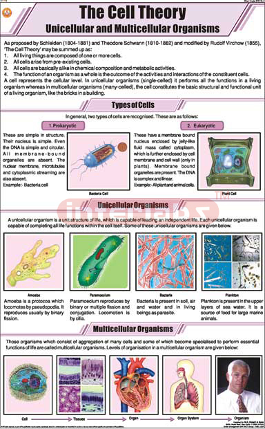 The Cell Theory